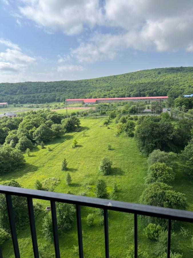 Цахкадзор, Tsaxkadzor, Kechi House Apartment 300 Eksteriør bilde